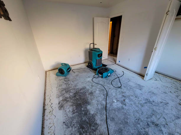 Best Water damage restoration specialists  in Summer Set, MO