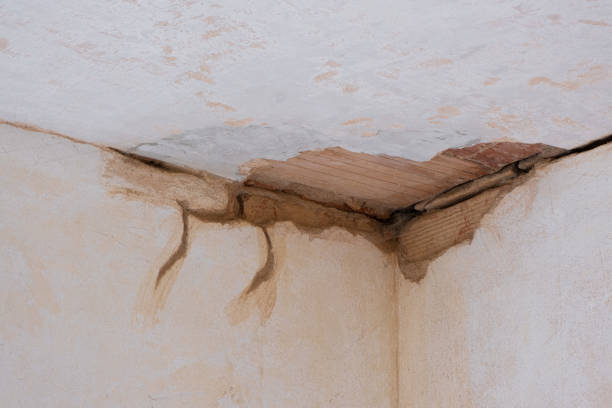 Carpet water damage restoration in MO