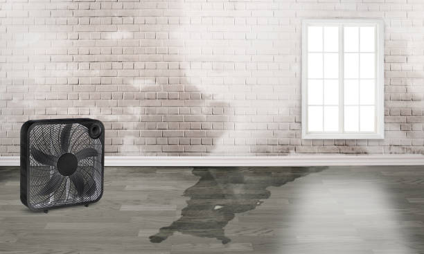 Best Water damage restoration near me  in Summer Set, MO